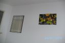 BILD0175.JPG