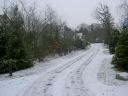 PICT4025.JPG